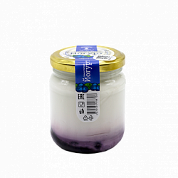 Йогурт термостатный двухслойный с черникой